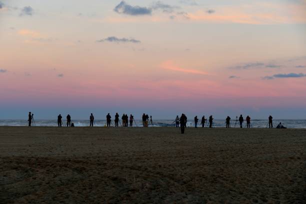 istock Birding at Dusk on the Ocean City  Beach 1353835555