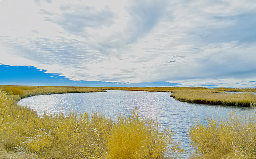 A view of the ponds, marshes and grasses shot using an IR camera in the Deal Island Wildlife Management Area of the Maryland Eastern Shore