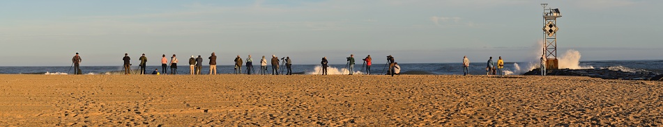 A large group of birders gather on the Ocean City beach at dusk to search for rare species that nor’easter has blown into coastal waters