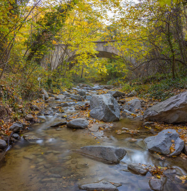 istock Long exposure river shot in the Balkans 1353838194