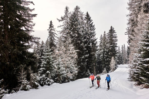 istock Friends backcountry ski up through snowy forest 1353839581