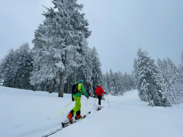 istock Friends backcountry ski up through snowy forest 1353841140