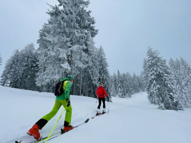 istock Friends backcountry ski up through snowy forest 1353841162