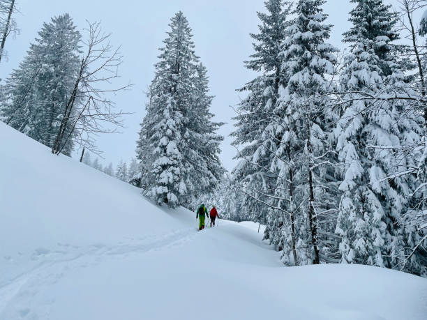 istock Friends backcountry ski up through snowy forest 1353841310