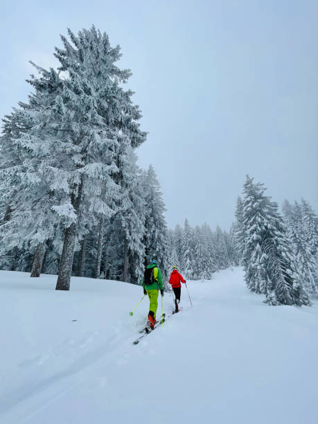 istock Friends backcountry ski up through snowy forest 1353841372