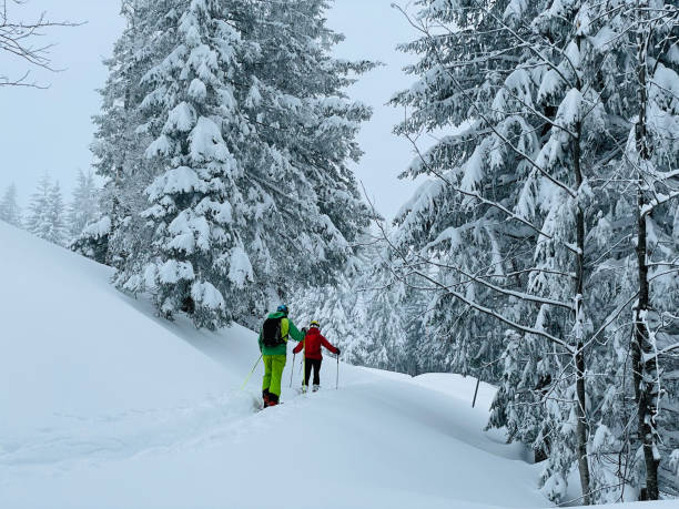 istock Friends backcountry ski up through snowy forest 1353841373