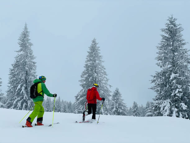 istock Friends backcountry ski up through snowy forest 1353841462