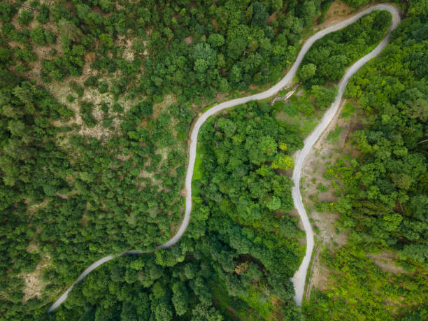 istock aerial view of road in the forest 1353844501