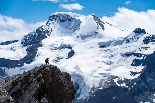 istock Mountain Alpine Views of Columbia Icefields 1353844606