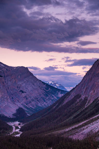 istock Mountain Alpine Views of Columbia Icefields 1353844646