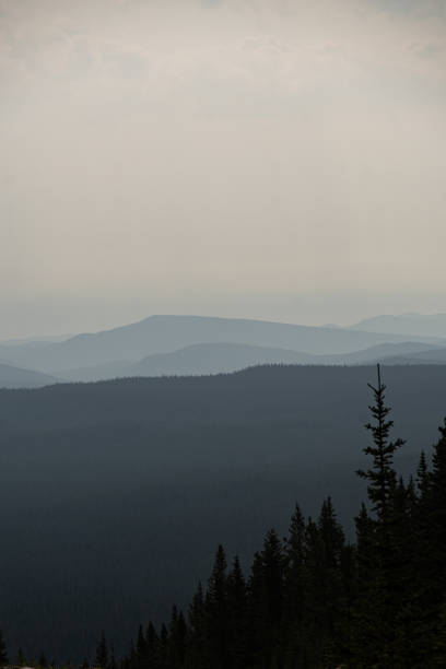 istock Landscape Views of Jasper National Park Forrest Fires 1353844701