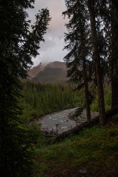 istock Mountain Views of Cairn Pass in Jasper 1353845561