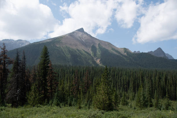 istock Mountain Views of Cairn Pass in Jasper 1353845701