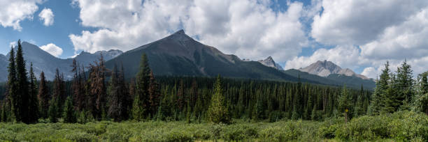 istock Mountain Views of Cairn Pass in Jasper 1353845781