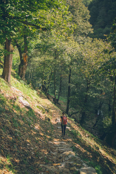 istock Young woman hikes up through lush forest 1353845946