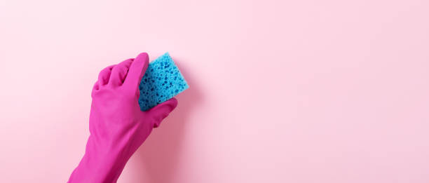 istock hand in a rubber glove holds a washing sponge 1353846199