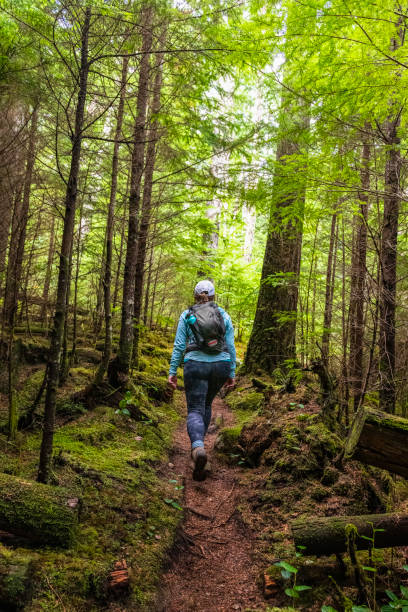 istock Woman hikes up through lush, autumnal forest 1353847418