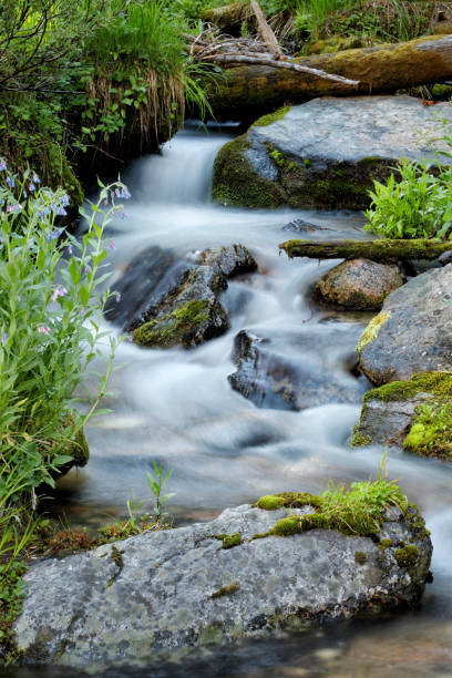 istock Water cascading in a stream. 1353847688