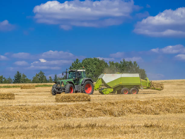 istock Tractor harvesting straw in summer 1353847922