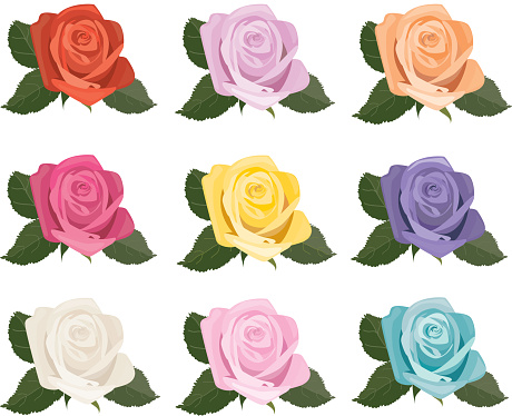 Blooming rose design elements in assorted colors.  Uses global spot colors.