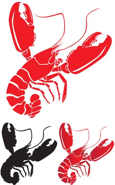 Vector illustration of Lobster with Big Claws