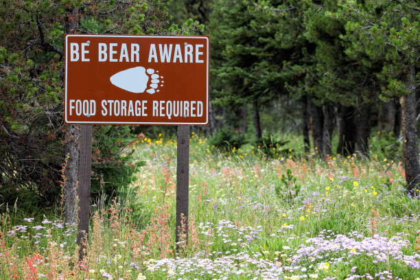 Bear warning sign. stock photo