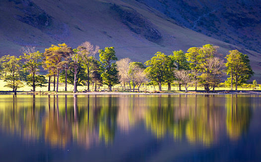 Reflection of trees and mountain side in the English Lake District