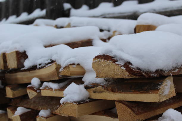 istock Stack of Firewood Covered with Snow Cracked Pine Wood 1353855241