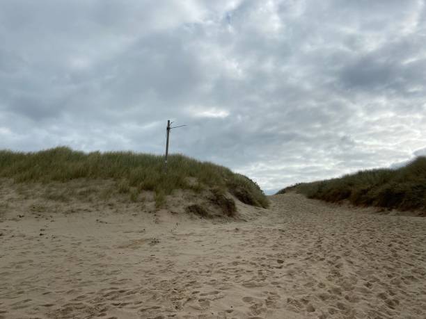 istock Beach entrance through the dunes 1353856179