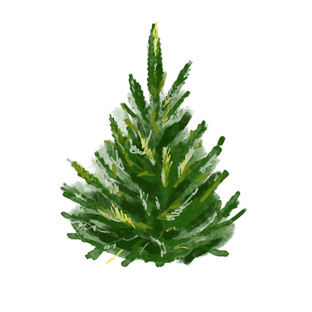Mary Christmas ,New Year,background,fir tree,card