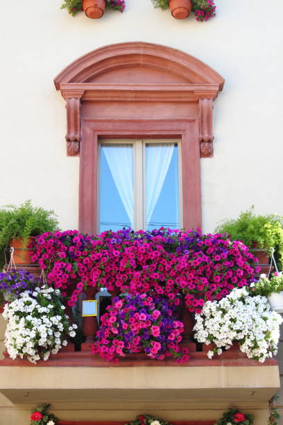 istock Renaissance balcony in Spello, Italy 1353860883