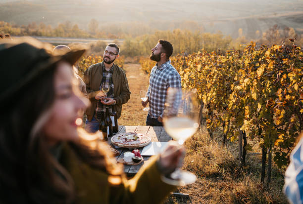 istock Friends enjoy the vineyard 1353861612