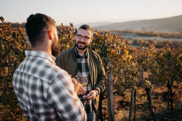 l'enologo parla con un amico in vigna - winemaking vintner winery people foto e immagini stock