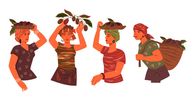 コーヒー農園農家美しい女性はコーヒー豆のバスケットを運ぶ, 分離されたベクター. - ethiopian coffee点のイラスト素材／クリップアート素材／マンガ素材／アイコン素材