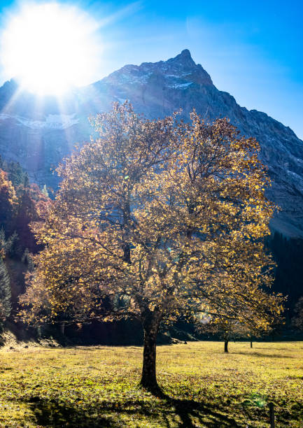 istock landscape at the Risstal Valley in Austria 1353866191