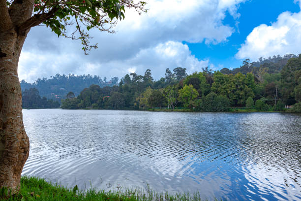 Tamil Nadu, India - Kodaikanal Lake Kodaikanal Lake in the South Indian Hill Station in Tamil Nadu, India.  The rainforest can be seen across the Lake. Photo shot in the afternoon sunlight; horizontal format. Copy space. kodaikanal photos stock pictures, royalty-free photos & images