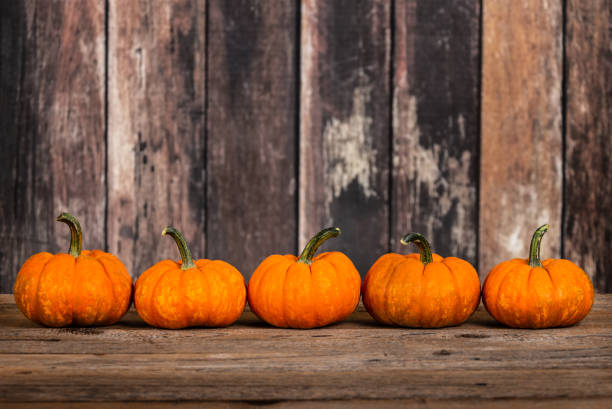 istock Mini pumpkins in a row against rustic wooden background 1353870291