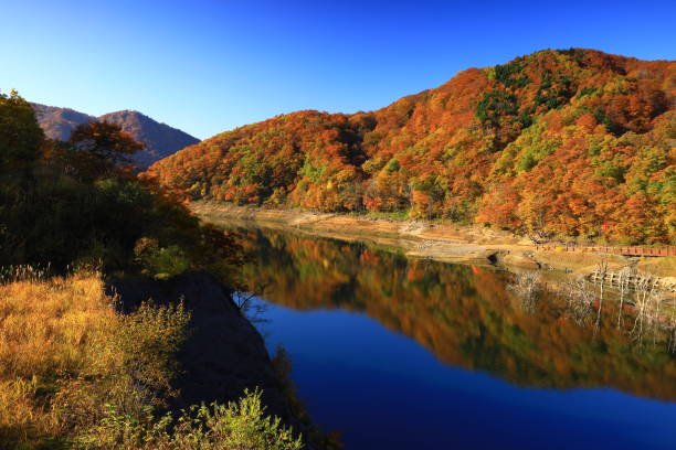 istock Valley of autumn leaves 1353874356
