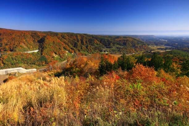 istock Valley of autumn leaves 1353874371