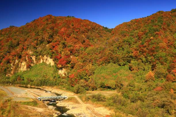 istock Valley of autumn leaves 1353874945