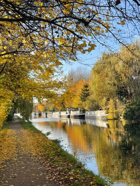 istock Canal in Autumn 1353877425