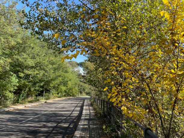 istock Road countryside road road sign 1353877518