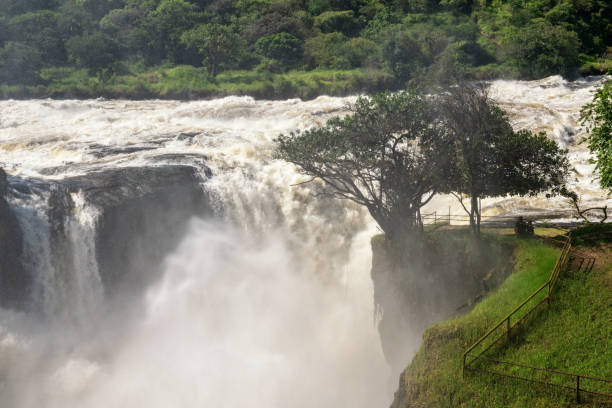 istock Murchison Falls National Park, Uganda 1353877830