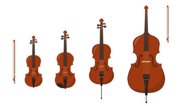 Set of Classical orchestral Stringed Bowed musical instruments Set of Classical orchestral Stringed Bowed musical instruments isolated on white background. Wooden Violin, Viola, Cello and Double Bass icons with bows. Vector illustration in flat or cartoon style. contra bassoon stock illustrations