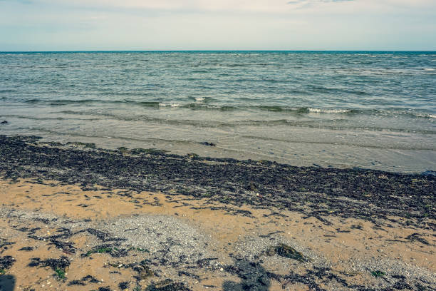 A dirty beach in Australia.