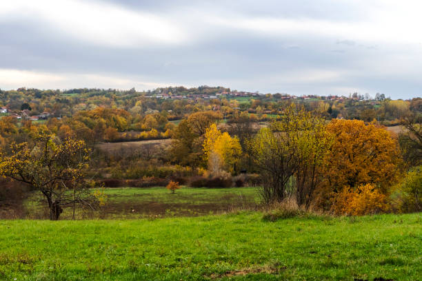 istock Autumn morning in the countryside 1353880188