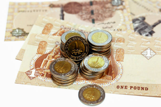 白い背景に隔離された1エジプトポンド紙幣に1エジプトポンド硬貨のコレクション - one pound coin ストックフォトと画像