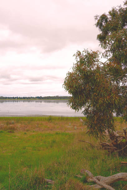 istock Edenhope,  Wimmera, Victoria, Australia 1353881136