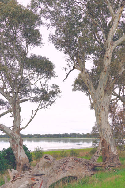 istock Edenhope,  Wimmera, Victoria, Australia 1353881190
