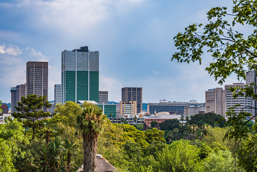 View of Pretoria city through trees during a summer afternoon